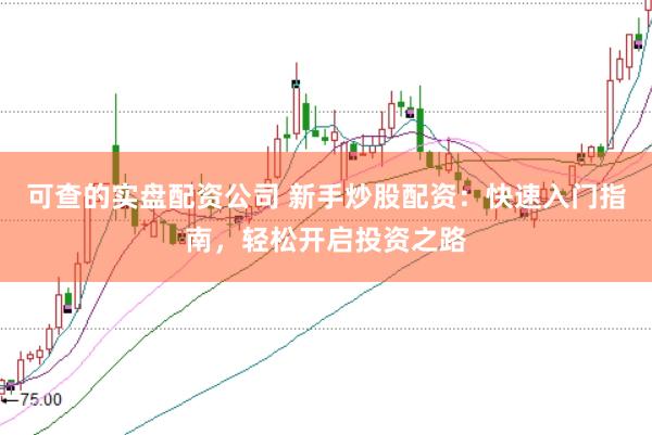 可查的实盘配资公司 新手炒股配资：快速入门指南，轻松开启投资之路