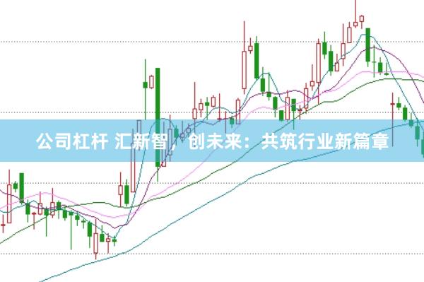 公司杠杆 汇新智，创未来：共筑行业新篇章