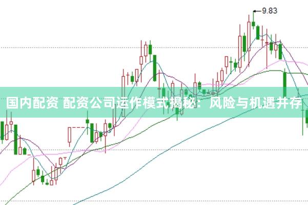 国内配资 配资公司运作模式揭秘：风险与机遇并存