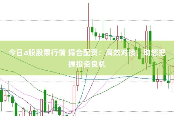 今日a股股票行情 撮合配资：高效对接，助您把握投资良机