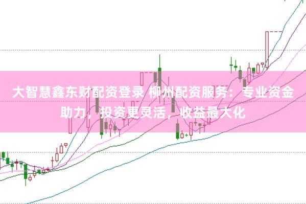 大智慧鑫东财配资登录 柳州配资服务：专业资金助力，投资更灵活，收益最大化
