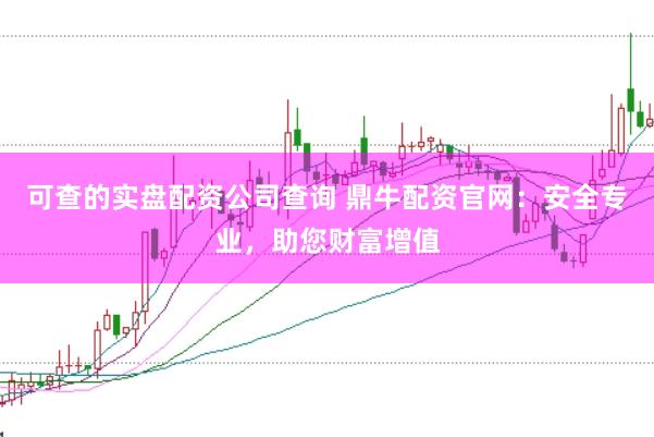 可查的实盘配资公司查询 鼎牛配资官网：安全专业，助您财富增值