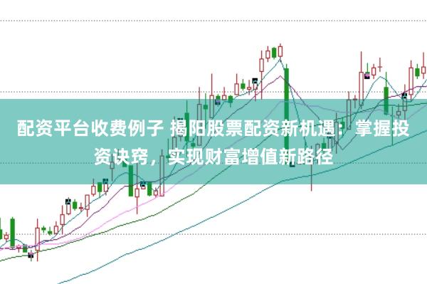 配资平台收费例子 揭阳股票配资新机遇：掌握投资诀窍，实现财富增值新路径