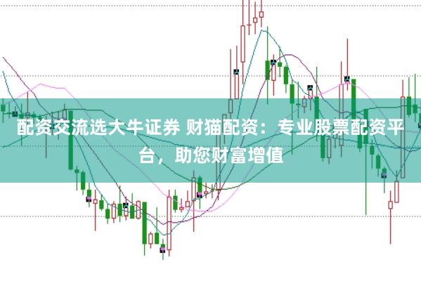 配资交流选大牛证券 财猫配资：专业股票配资平台，助您财富增值