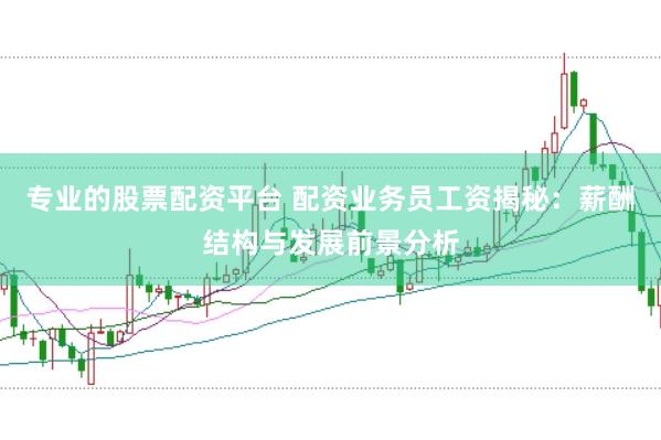 专业的股票配资平台 配资业务员工资揭秘：薪酬结构与发展前景分析