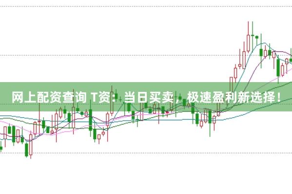 网上配资查询 T资：当日买卖，极速盈利新选择！