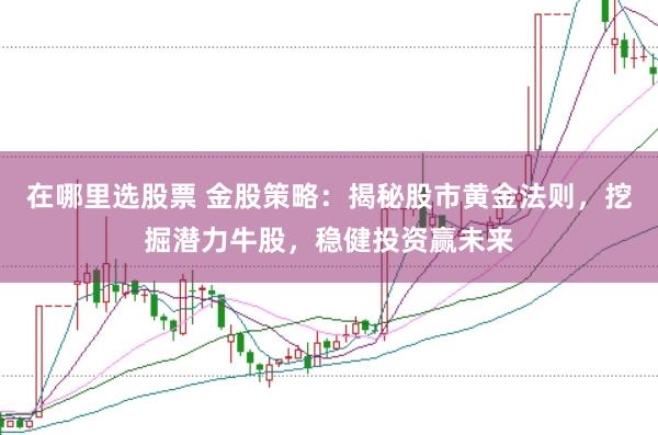 在哪里选股票 金股策略：揭秘股市黄金法则，挖掘潜力牛股，稳健投资赢未来