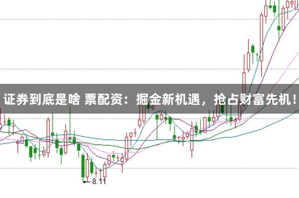 证券到底是啥 票配资：掘金新机遇，抢占财富先机！