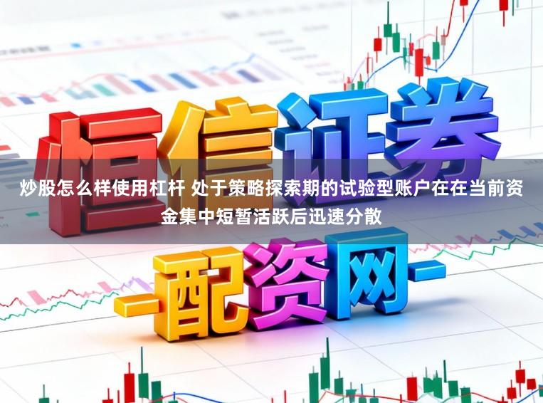 炒股怎么样使用杠杆 处于策略探索期的试验型账户在在当前资金集中短暂活跃后迅速分散