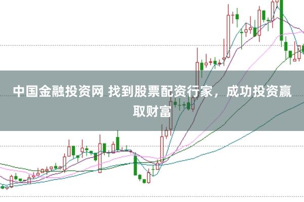 中国金融投资网 找到股票配资行家，成功投资赢取财富