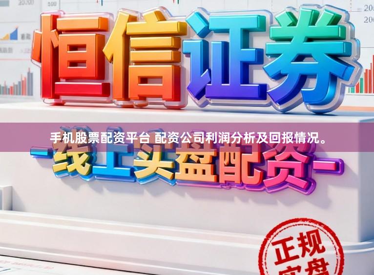 手机股票配资平台 配资公司利润分析及回报情况。