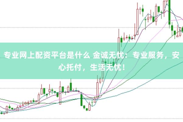 专业网上配资平台是什么 金诚无忧:专业服务,安心托付,生活无忧!